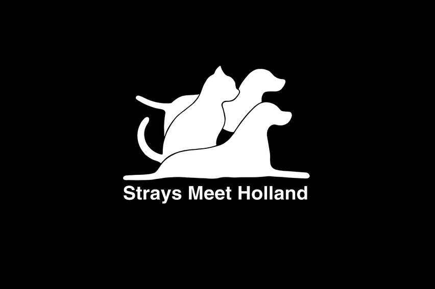 STICHTING STRAYS MEET HOLLAND