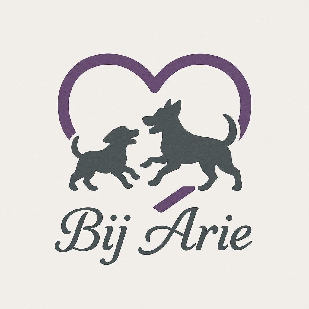 Hondendagopvang Bij Arie