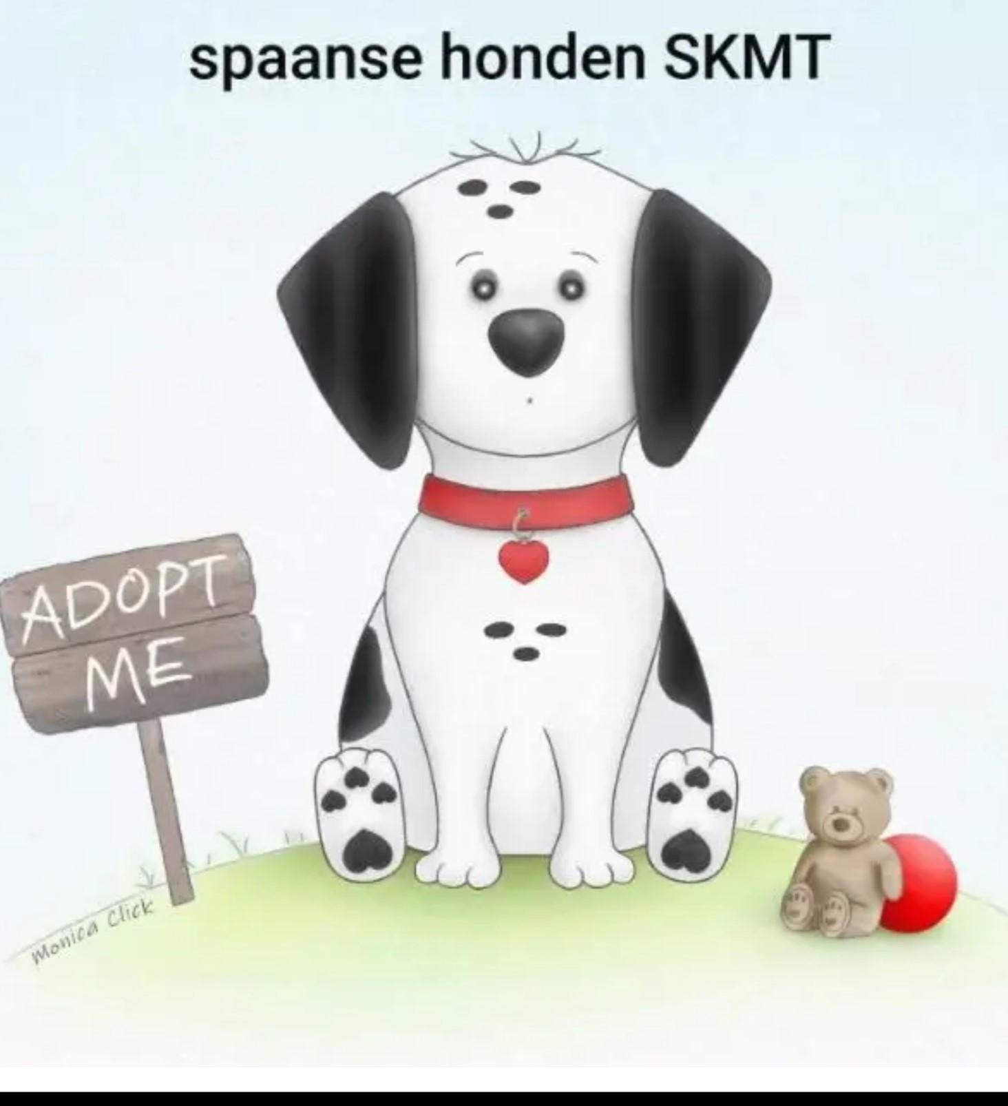 STICHTING SPAANSE HONDEN SKMT