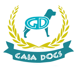 GAIA DOGS
