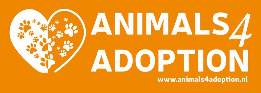 ANIMALS 4 ADOPTION