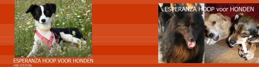 STICHTING ESPERANZA HOOP VOOR HONDEN